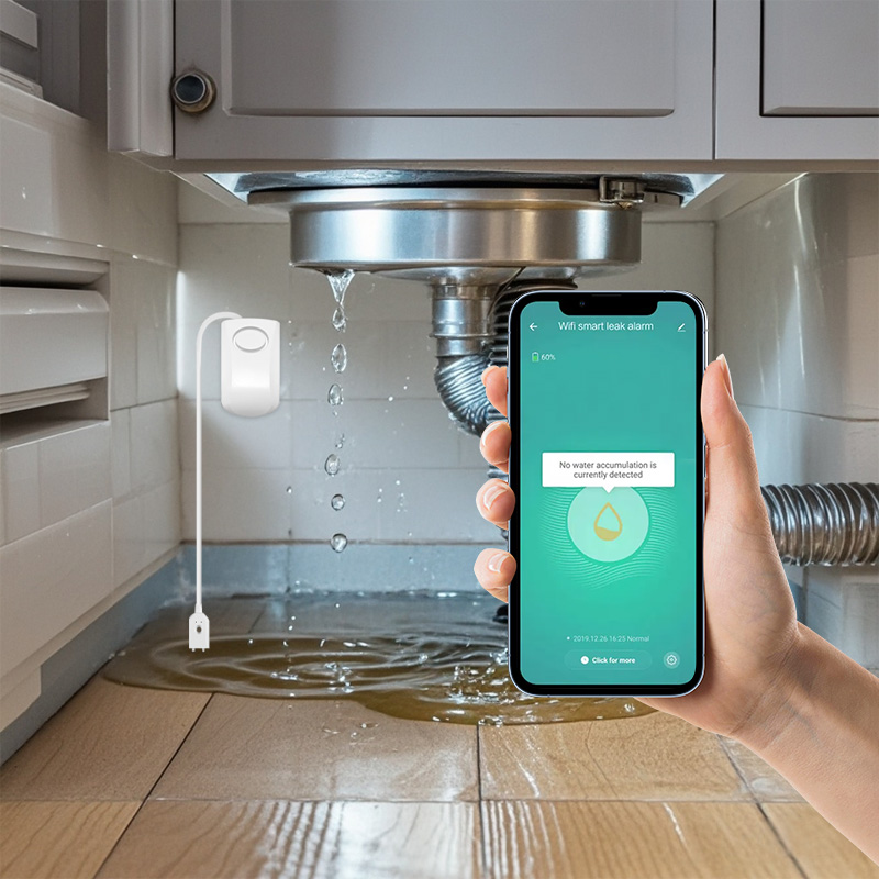 Wifi Water Detection—thumbnail