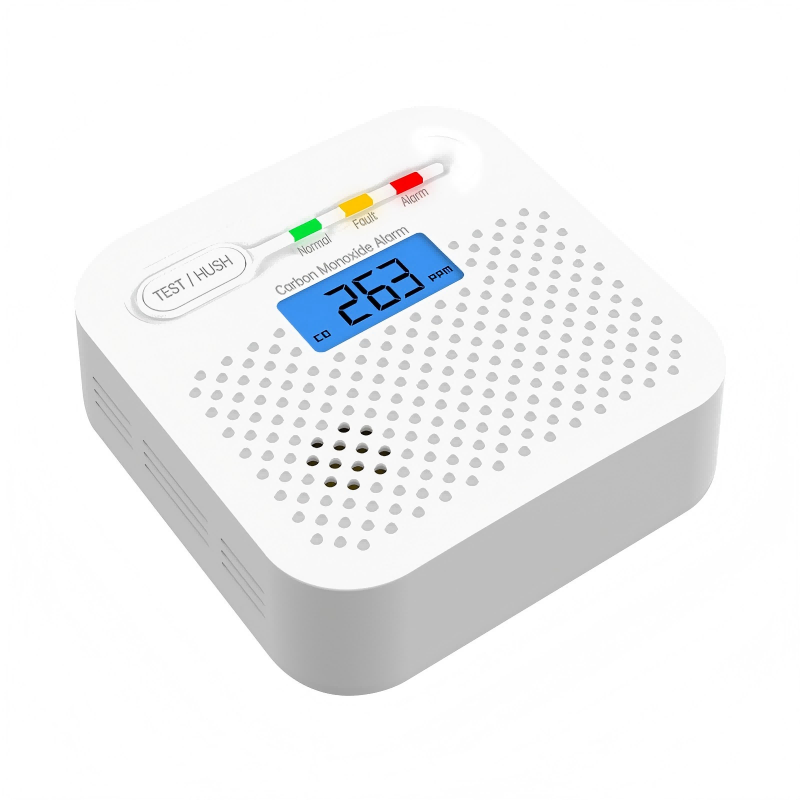 carbon monoxide detector