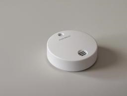 How to Choose a Smoke Detector for High-Demand Scenarios? A Must-Read Guide for B2B Customers